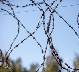 Fototapeta na wymiar Barbed wire against the blue sky.