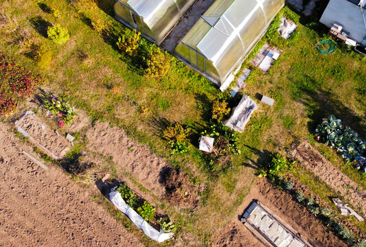 Aerial photo of a garden plot on a summer day