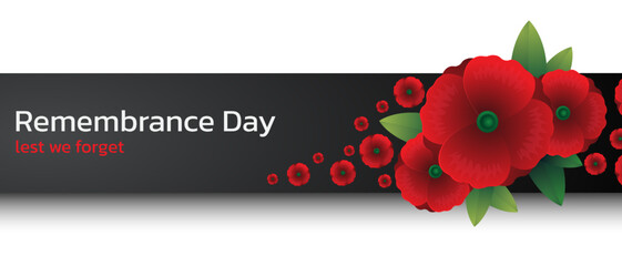 Remembrance day concept, Background with beautiful red poppies. Vector illustration, A poppy flower banner vector