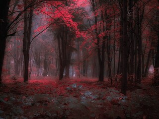 Fototapeta premium Fantasy forest in the fog in pink colours. Autumn forest in the morning. Mysterious woods.