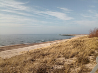 Fototapeta na wymiar krajobraz brzegu morza, plaża, roslinność