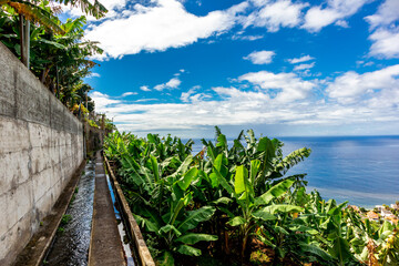 Fototapeta na wymiar Unterwegs auf der Stadt Levadas von Funchal mit einen fantastischen Ausblick auf den Atlantik - Madeira - Portugal 