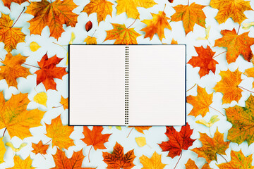 Autumn season. Yellow and bright orange autumn leaves flat lay on blue. Open ruled Notepad.Thanksgiving, fall sale time concept full frame. Foliage pattern background