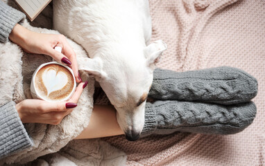 Cozy home, woman covered with warm blanket, drinks coffee,  sleeping dog next to woman.