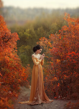 fantasy woman walking in autumn nature orange forest. Girl renaissance style princess. Women's long vintage historical dress. Collected brunette hair high hairstyle. Art photo red yellow leaves trees