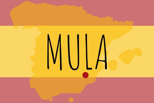 รูปภาพMula – เลือกดูภาพถ่ายสต็อก เวกเตอร์ และวิดีโอ1,629 | Adobe Stock