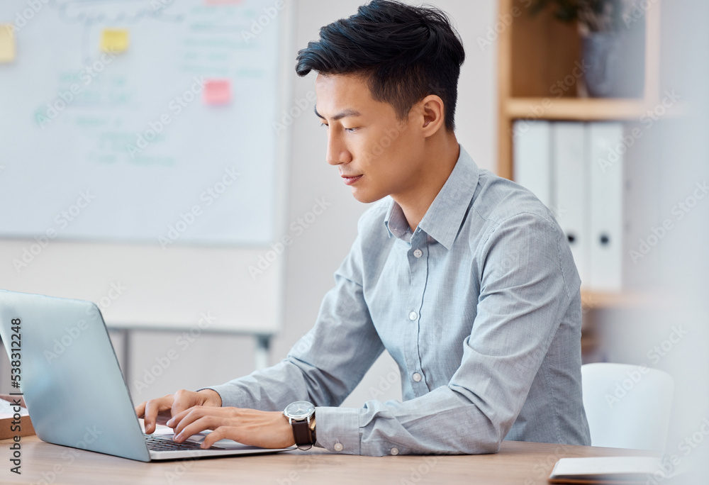 Leinwandbilder Programmer, laptop and software engineer working, coding and typing up cyber security data on the internet. Digital, web design and young Asian businessman busy with an email message in an office