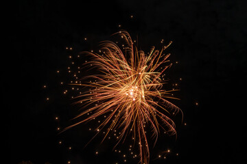 Colorful firework in celebration night with night sky background.