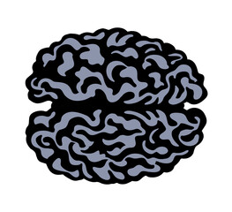 Brain. Vector drawing icon sign