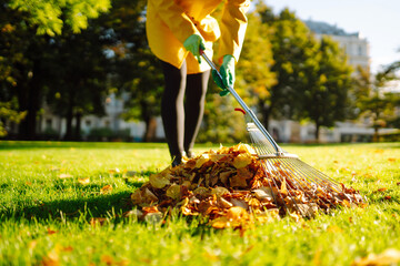 Removal of leaves in the autumn garden. Rake and pile of fallen leaves on lawn in autumn park. Volunteering, cleaning, and ecology concept. 