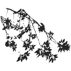 Realistic branches a silhouette of bare dry twigs,bushes and withering autumn nature.
