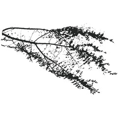 Realistic branches a silhouette of bare dry twigs,bushes and withering autumn nature.