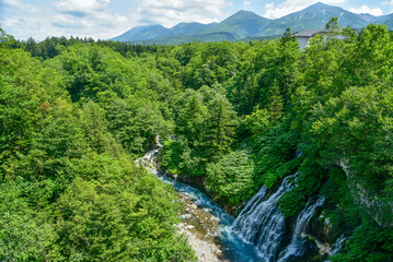 Fototapeta na wymiar 日本北海道の美瑛にある青い川の美しい風景