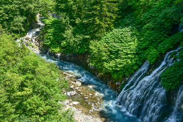 Fototapeta premium 日本北海道の美瑛にある青い川の美しい風景
