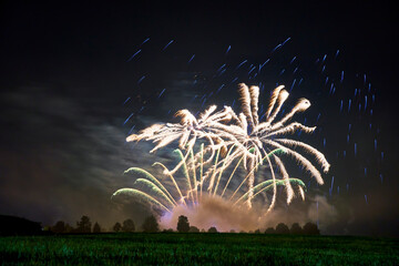 Fireworks with blue rain and yellow stars against dark night sky. Green meadow and tree line. Ideal...