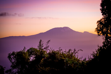 Fototapeta na wymiar Mount Kilimandscharo in der Morgendämmerung