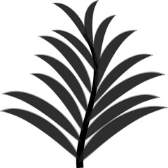 palm leaf silhouette, stem leaves tree