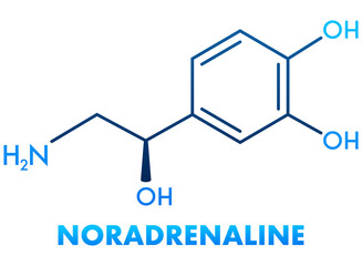 Fototapeta premium Noradrenaline concept chemical formula icon label, text font vector illustration