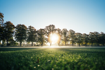 Autumn Sunrise Nature Landscape 