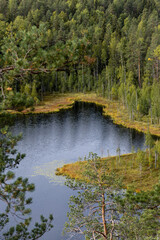 Fototapeta na wymiar Zoomed in view of a Finnish lake and forest landscape in Repovesi National Park in autumn