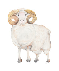Transparent Background goat Illustration Png. Transparent Clipart Image of watercolor goat ready-to-use for site, article, prints. Chinese Zodiac animals