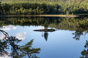 Small island on a Finnish lake with a beautiful reflection from water in summer