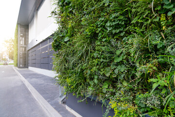 Vertical garden on a green wall. Environmentally friendly urban space
