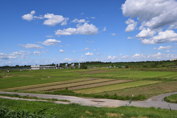 埼玉県秋ヶ瀬田んぼ 田園地帯