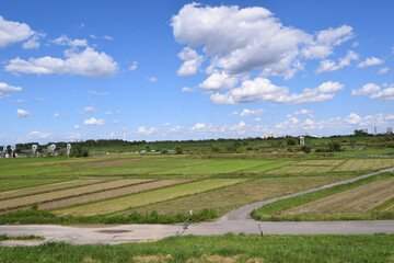 埼玉県秋ヶ瀬田んぼ 田園地帯