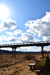 【静岡県島田市】大井川に架かる蓬莱橋 