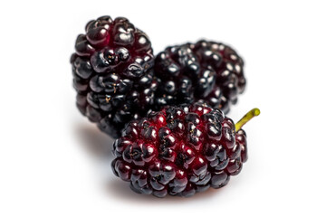 Black mulberry isolated on a white background closeup