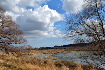 【静岡県島田市】冬の大井川 蓬莱橋方面