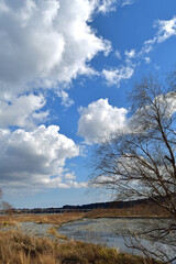【静岡県島田市】冬の大井川河川敷 蓬莱橋方面