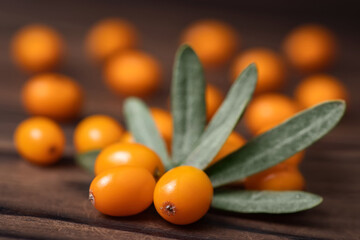 Buckthorn. Sea-buckthorn on wooden background. Buckthorn branch with leaves.