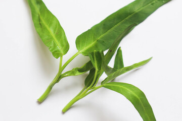 Fresh Water spinach isolated on white background