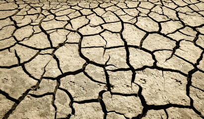 dry cracked ground,trockenrisse im boden
