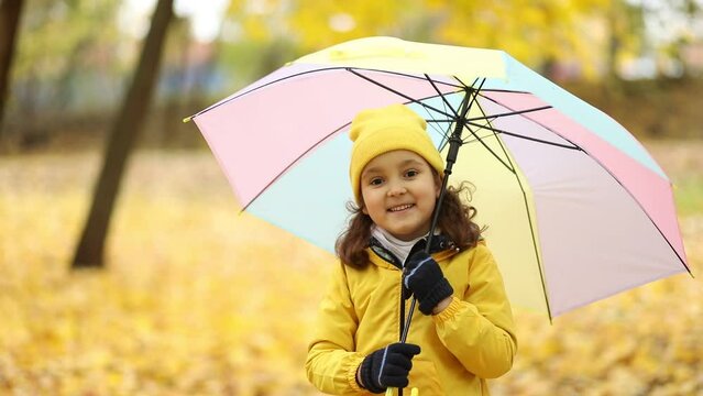 Happy cute child girl in yellow raincoat and cap walking in park or forest and looking out of umbrella