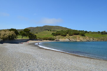 Obraz premium L'anse des Paulilles à Port-Vendres (Pyrénées Orientales - Occitanie - France)