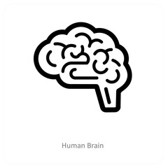 human Brain