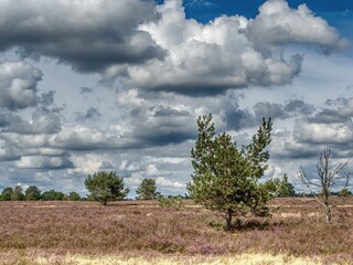 Heidelandschaft und Wolkenzauber