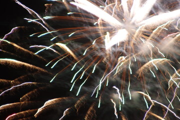 Fireworks in a night sky