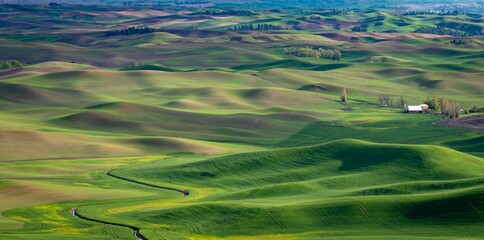 Wide farmland of the Palouse in Washington State