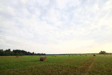 cloudscape field hay rolls sky clouds autumn, gloomy weather agriculture