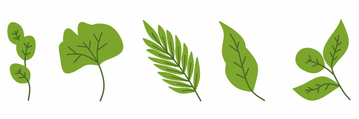 set of green leaves icon on white background.summer. Herbs, plants, leaves.