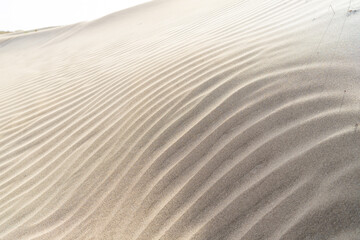 The dunes of Famara beach (Playa de Famara), Lanzarote. Canary Islands. Spain.