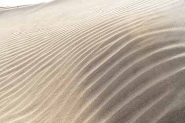 The dunes of Famara beach (Playa de Famara), Lanzarote. Canary Islands. Spain.