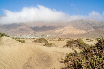 Naklejka premium Typical natural scenery in the area of Famara Beach (Playa de Famara), Lanzarote. Canary Islands. Spain.
