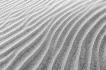 Fototapeta na wymiar The dunes of Famara beach (Playa de Famara), Lanzarote. Canary Islands. Spain. Black and white.