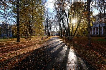 path in the autumn park sunny landscape wallpaper fall abstract