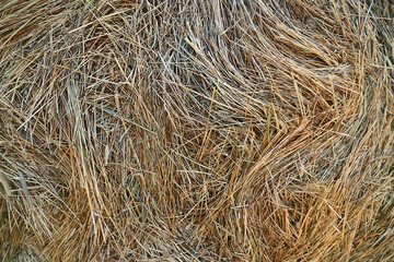 straw background abstract texture grass dry